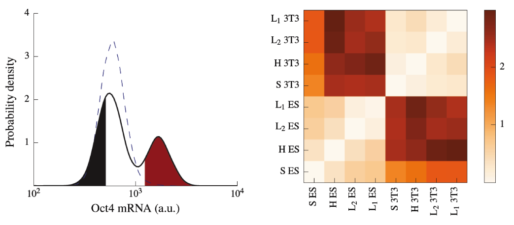 Transcriptional profiling of cells sorted by RNA abundance