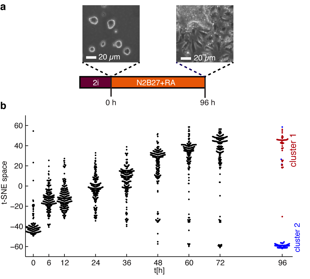 diff_paper_nature_fig1